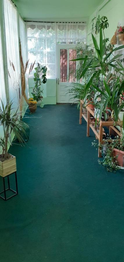 Marika Vendeghaz Apartment Abadszalok Luaran gambar