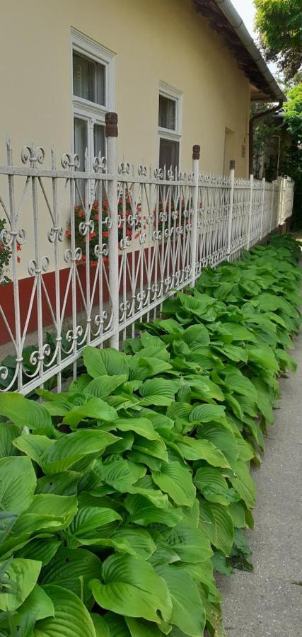 Marika Vendeghaz Apartment Abadszalok Luaran gambar