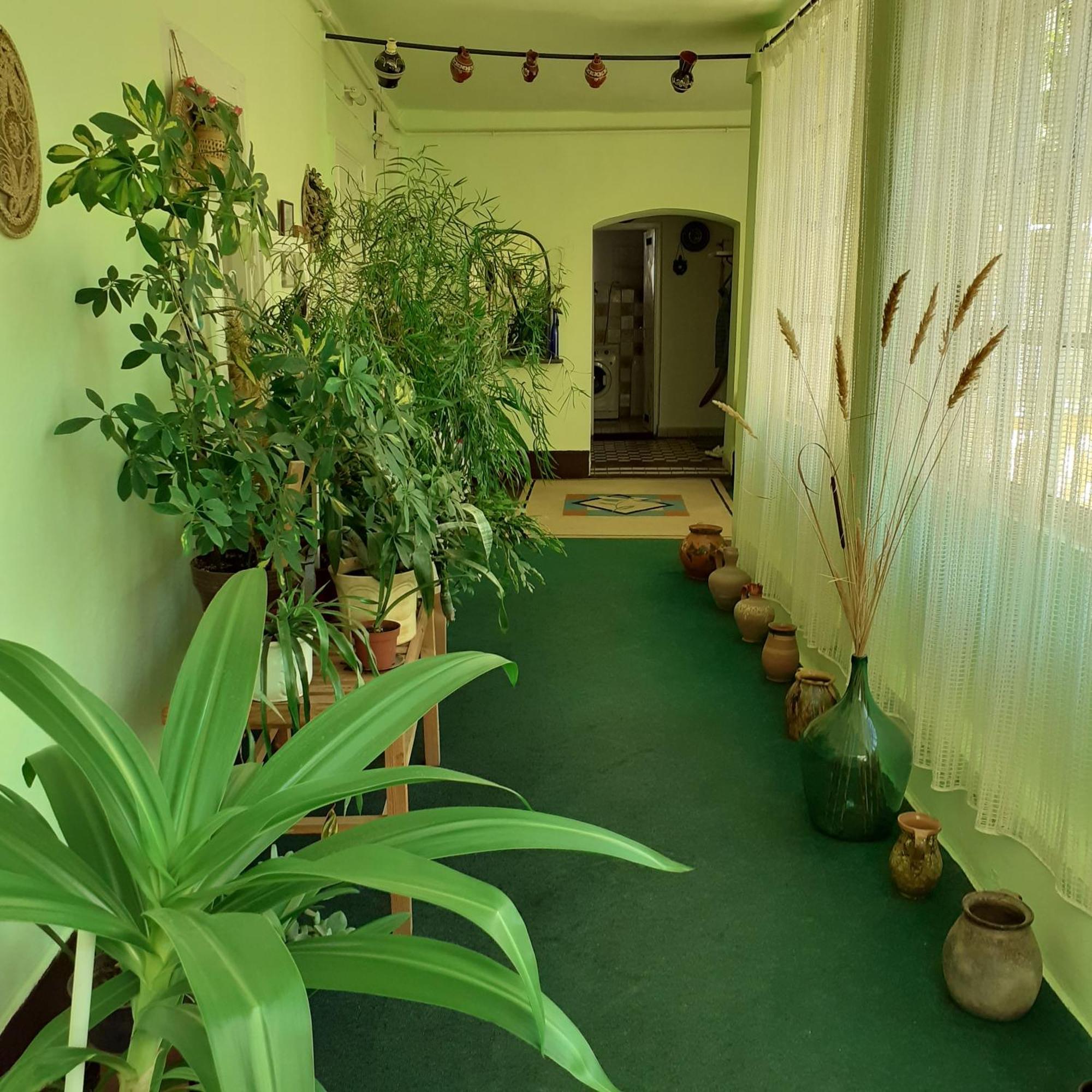 Marika Vendeghaz Apartment Abadszalok Luaran gambar