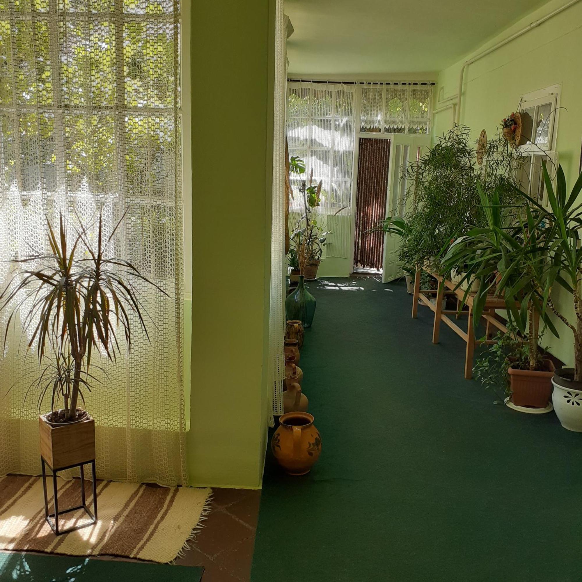 Marika Vendeghaz Apartment Abadszalok Luaran gambar